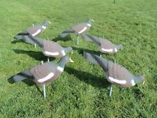 6pc pigeon decoys for sale  BROXBURN