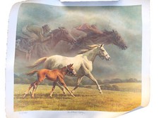 Fred stone signed for sale  Hackettstown
