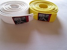 Karate kampfsport gürtel gebraucht kaufen  Effeltrich