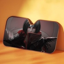 Pare soleil itachi d'occasion  Saillagouse