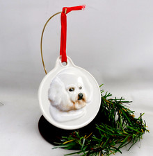 Bichon frise dog for sale  Shipping to Ireland