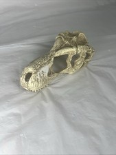 Reptile terrarium realistic for sale  Cranbury