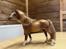 Grand champions horse for sale  NEWCASTLE
