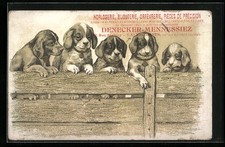 Künstler hundewelpen einem gebraucht kaufen  Berlin