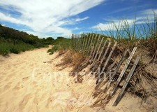 Plum island massachusetts for sale  Watertown