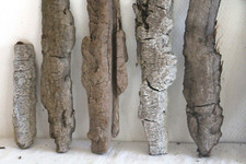 Schwemmholz treibholz skulptur gebraucht kaufen  Fronreute