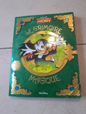 Livre grimoire magique d'occasion  France