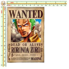 Zoro wanted one usato  Roma