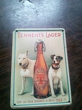 jack russel gebraucht kaufen  Berlin