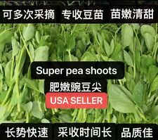Super pea shoots for sale  Monterey Park
