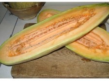 Banana melone semi usato  Spedire a Italy