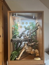 Reptile vivarium lizard for sale  BUCKINGHAM