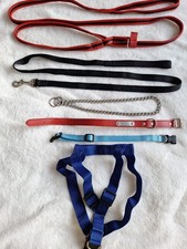 Collars, Leads & Harnesses for sale  DONCASTER