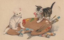 Chats d'occasion  La Rochelle