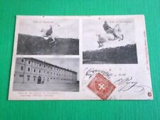 Cartolina pinerolo scuola usato  Vimodrone