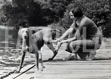 Vintage animali cane usato  Roma