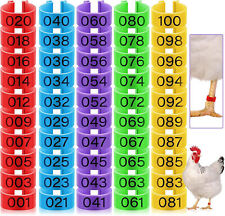 100pcs 100 chicken for sale  Shipping to Ireland