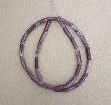 Wampum quahog shell for sale  Rio Rancho