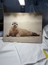 wandbild meer gebraucht kaufen wandbild meer gebraucht kaufen Essen