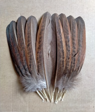Fly tying native for sale  UK