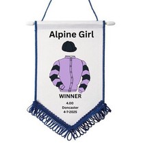 Horse silks owners for sale  NANTWICH