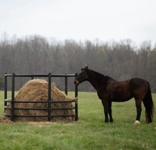 round bale feeder for sale round bale feeder for sale Magnolia