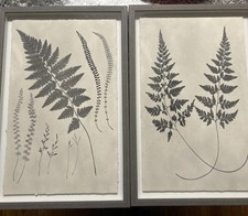 Two framed prints for sale  Suwanee