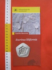 X4a fossil mineral for sale  Shipping to United Kingdom