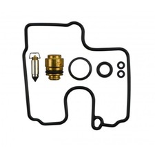 Carburetor repair kit for sale  BRIGHTON