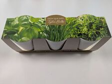 Taylors windowsill herb for sale  WREXHAM