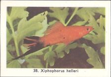Rizla exotic aquarium for sale  MATLOCK