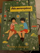 Sillabario vita meravigliosa usato  Ravenna