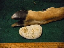 Bow drill cap for sale  Racine