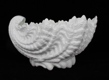 Coalport large shell for sale  WORCESTER