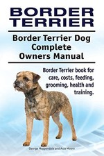 Border terrier. border for sale  UK