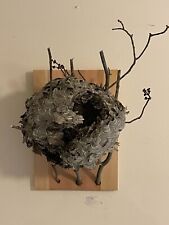 Large mounted bald for sale  Stamford