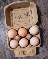 Buff orpington hatching for sale  Spencer