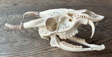 Deer skull sculpture for sale  BIRMINGHAM