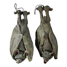 Hanging vampire bat for sale  Seguin