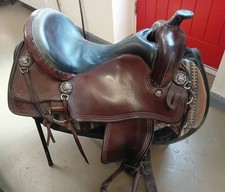 Allegany mountain western for sale  NORWICH