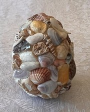 Vintage sea shell for sale  Saint Louis