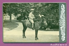 Cdv cabinet horse d'occasion  Expédié en Belgium