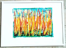 Mario schifano serigrafia usato  Talla