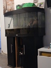 3ft black fish for sale  KIDDERMINSTER