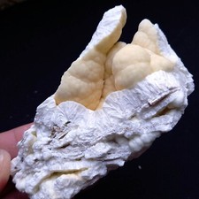 219 rara insolita usato  Italia