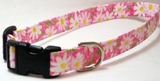 Daisies pink cat for sale  Garden City