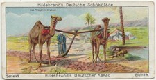 220 sammelbild hildebrand gebraucht kaufen  Prösen