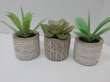 Artificial succulent plants for sale  Skiatook