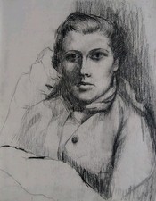 Beau grand fusain d'occasion Beau grand fusain d'occasion  Saint-Félix-Lauragais