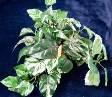Artificial plant brass for sale  Montpelier